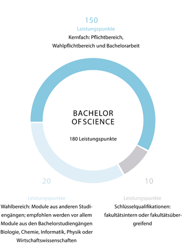 Gafik zum Aufbau des Studienganges