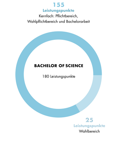 Grafik zum Aufbau des Studienganges